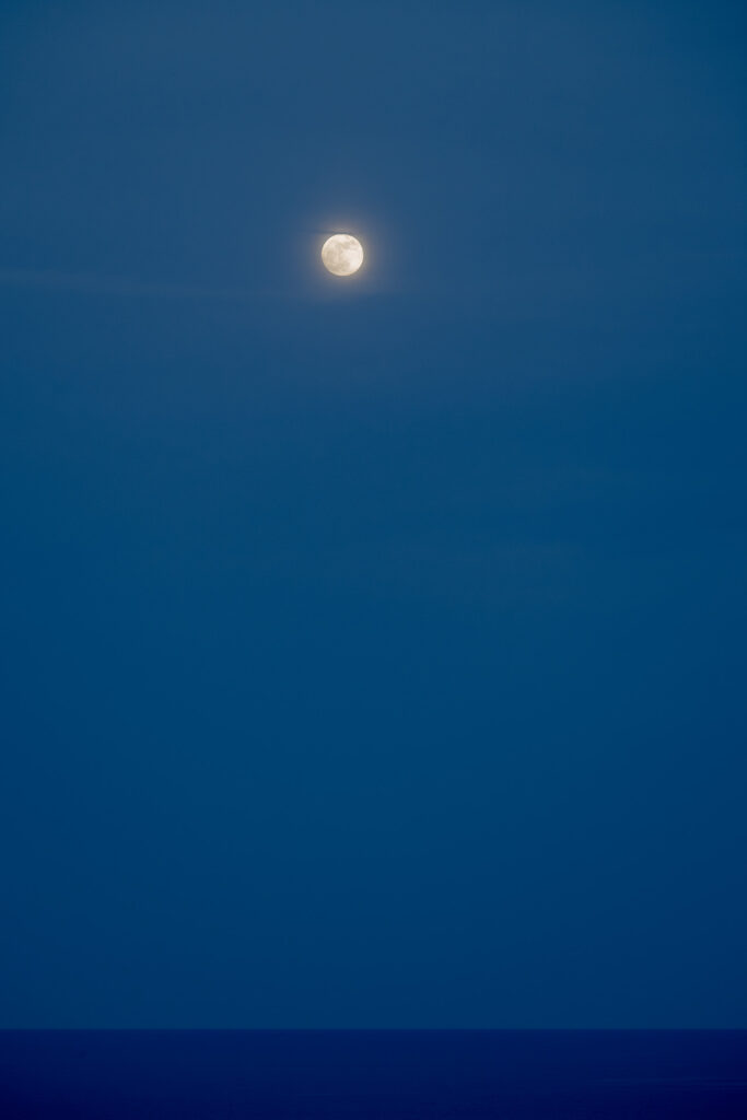 _Z850697